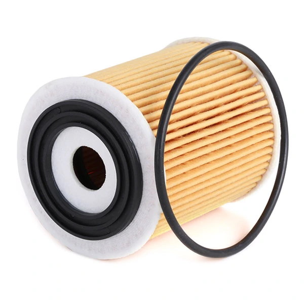Filtro de aceite FH1100 Rover