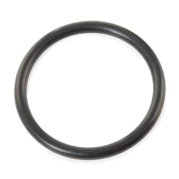 Filtro de gasoil para Nissan Almera II (N16)