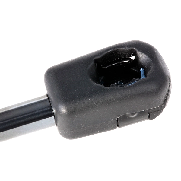 SKGS0220265 Market (OEM)