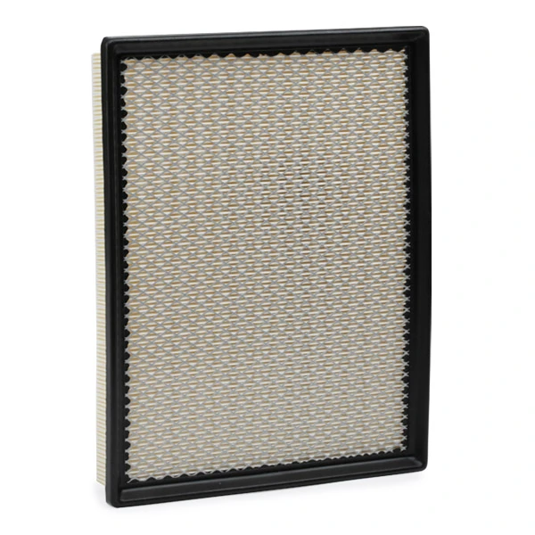 SKAF0060028 Market (OEM) Filtro de aire de motor