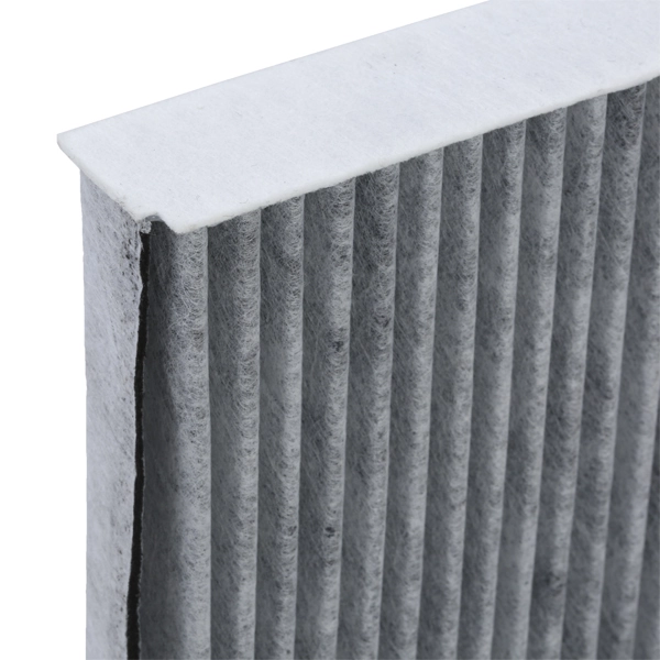 424I0087 Ridex Filtro antipolen