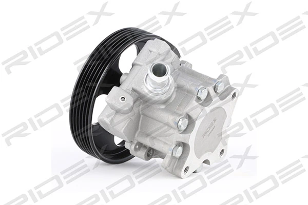 12H0095 Ridex