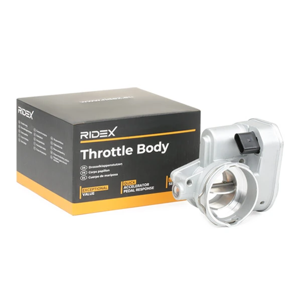 Cuerpo de aceleración completo ERA Benelux 556127A precio, desde 264,40 EUR