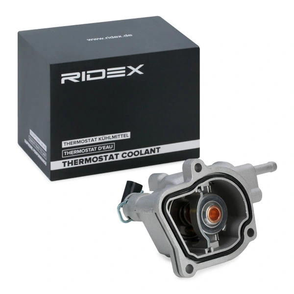 316T0062 Ridex