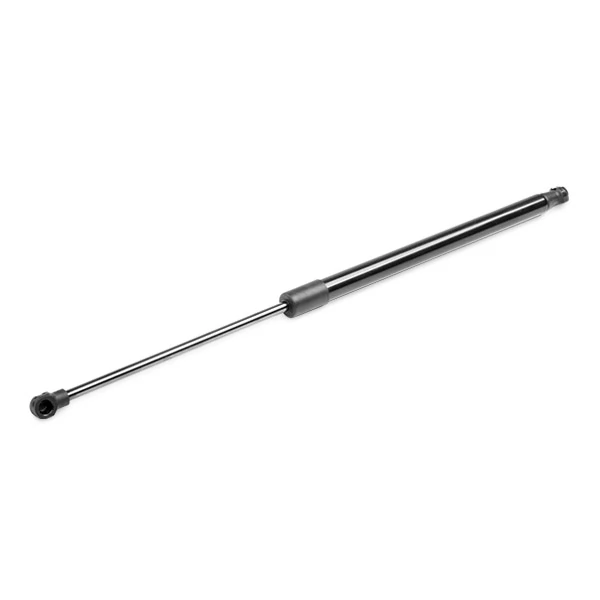 219G0668 Ridex