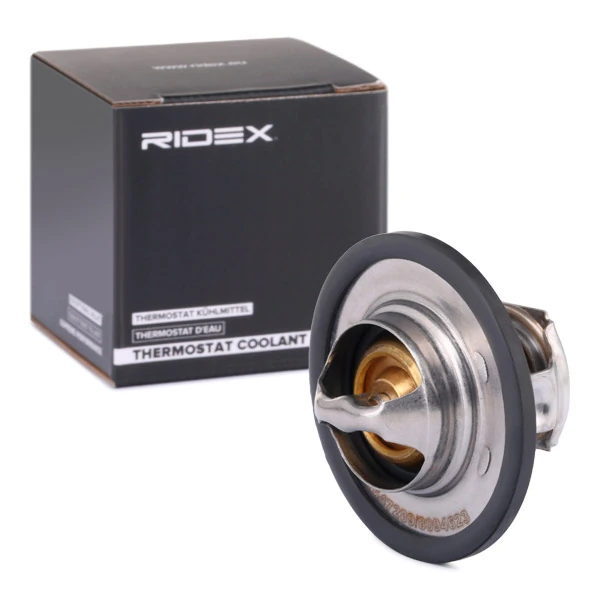 316T0031 Ridex
