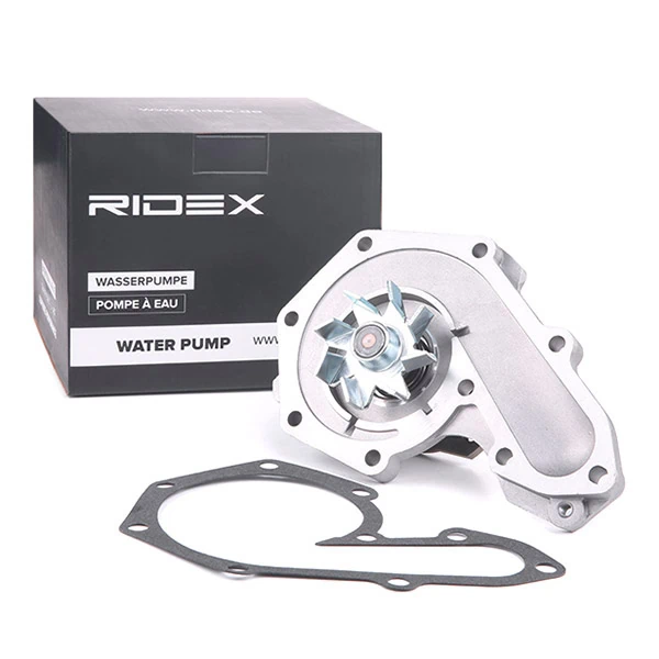 Bombeadora de agua Ridex 1260W0005 precio, desde 92,64 EUR