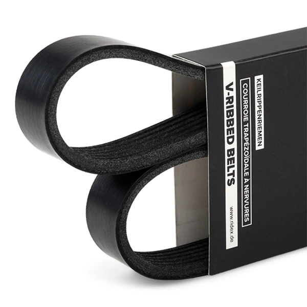 Correa de alternador 305P0165 Ridex