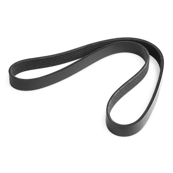 Correa accesorios Ridex 305P0165