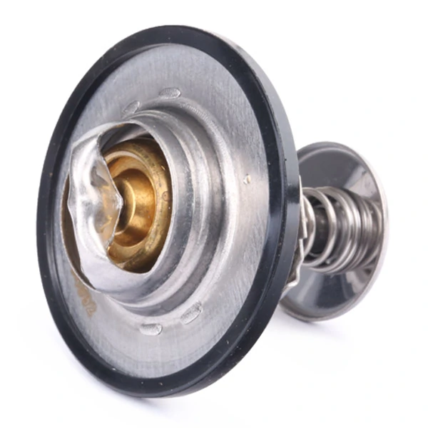 316T0011 Ridex