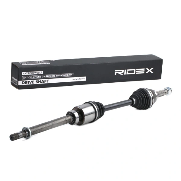 13D0456 Ridex