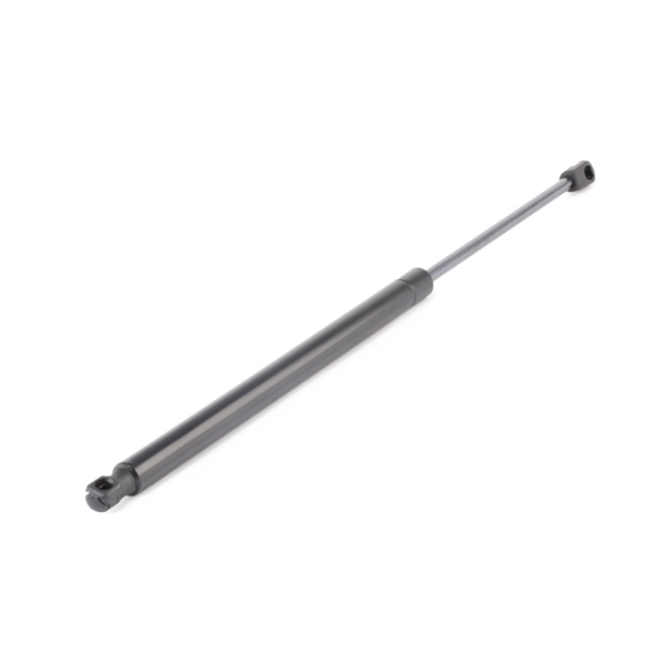 219G0643 Ridex