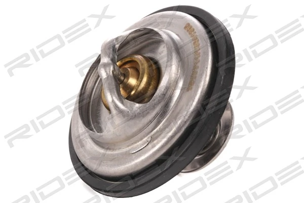 316T0050 Ridex Termostato de agua