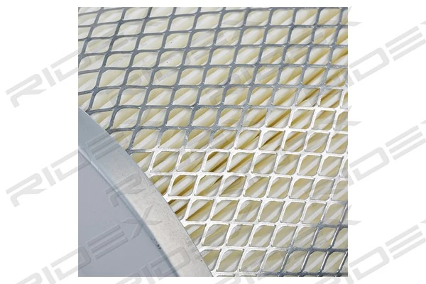 8A0625 Ridex