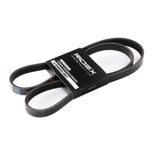 305P0193 Ridex