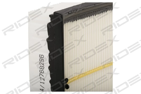 8A0696 Ridex
