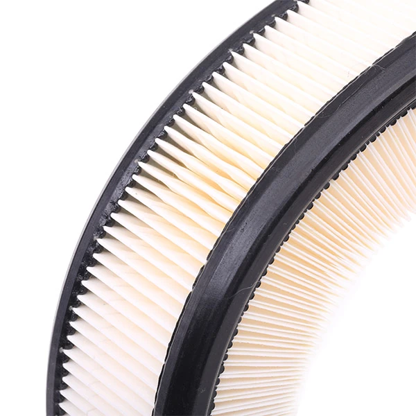 8A0195 Ridex Filtro de aire de motor