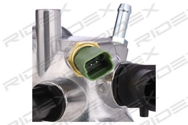 316T0178 Ridex Termostato de agua