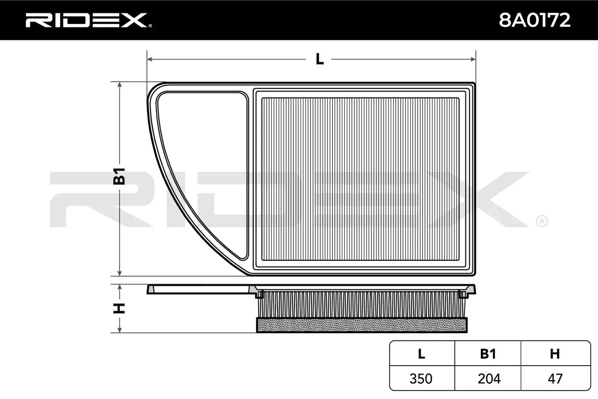 8A0172 Ridex Filtro de aire de motor
