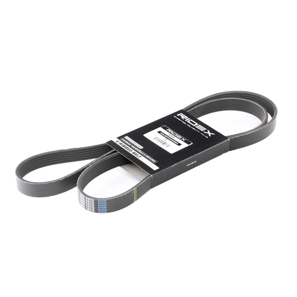305P0308 Ridex