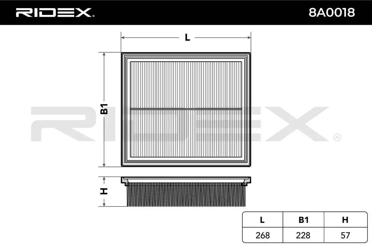 8A0018 Ridex
