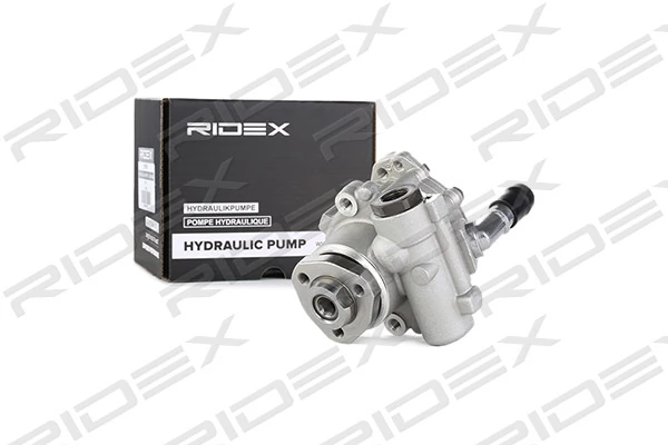 12H0013 Ridex