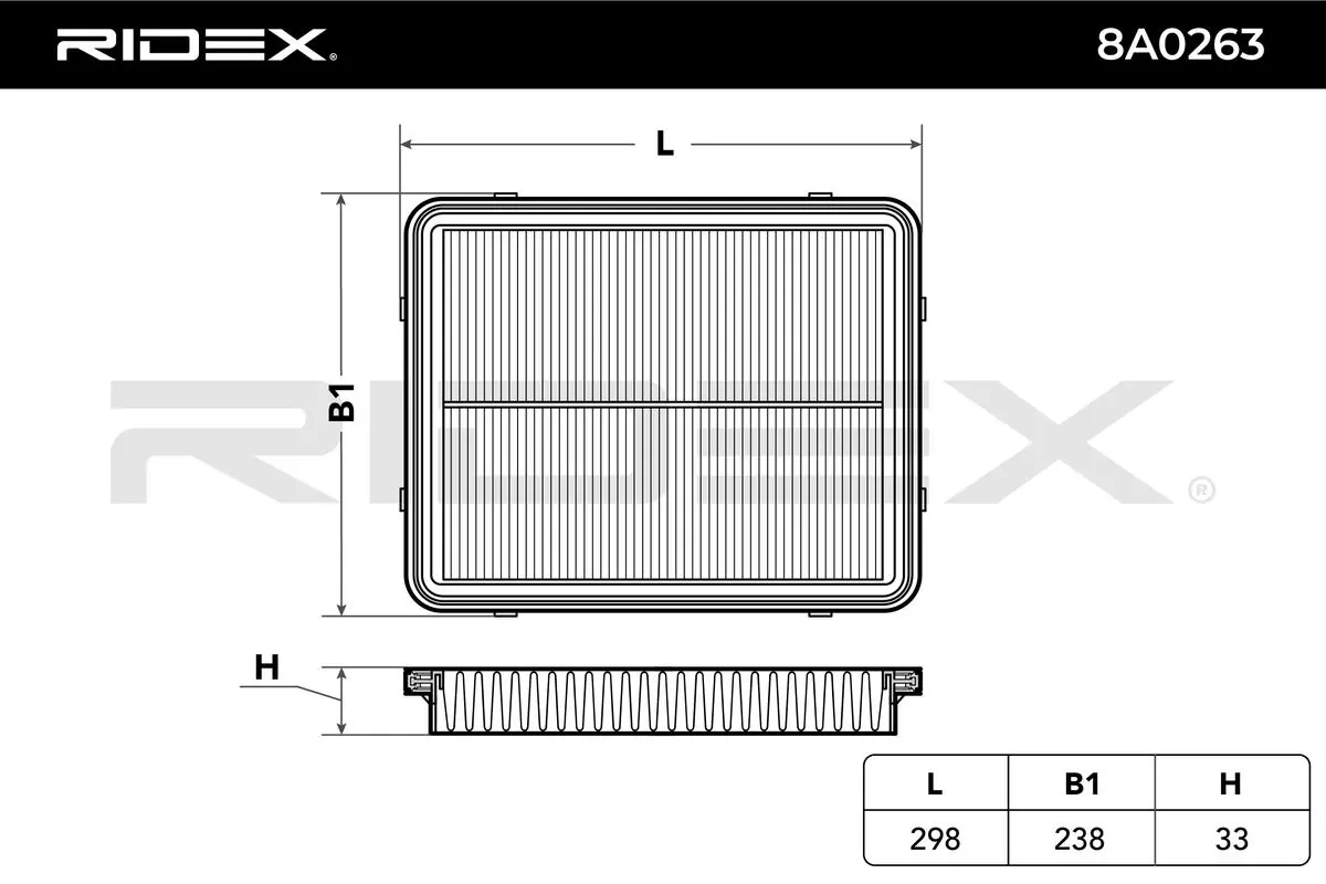 8A0263 Ridex