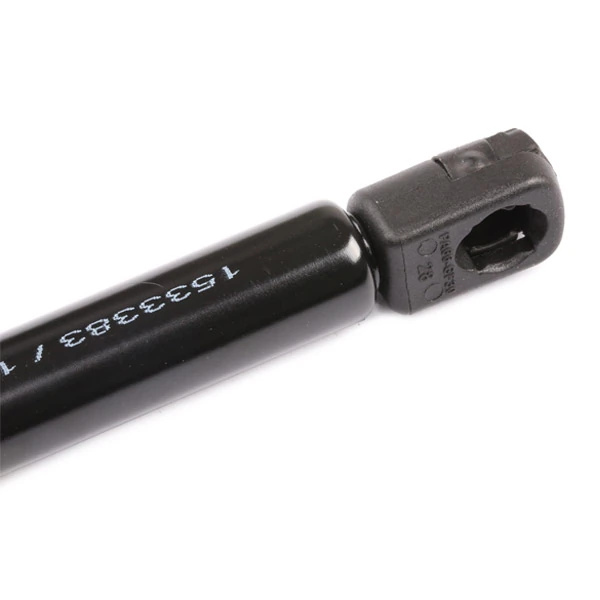 219G0935 Ridex