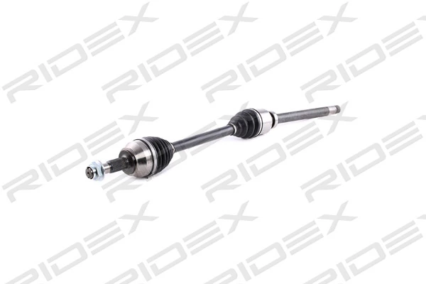 13D0340 Ridex