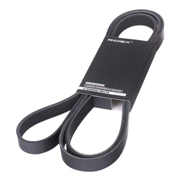 305P0099 Ridex