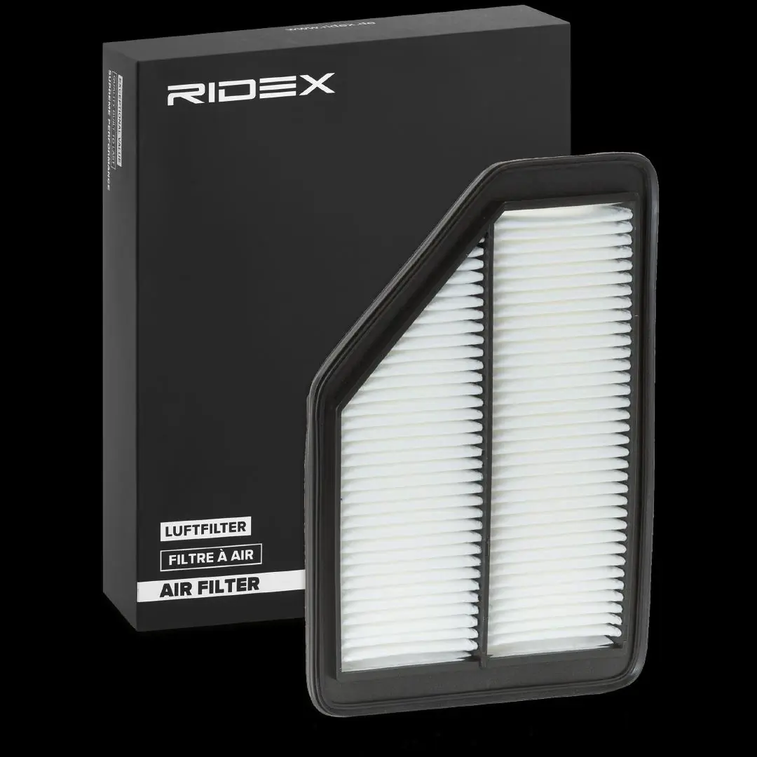 8A0096 Ridex