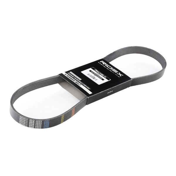 305P0053 Ridex