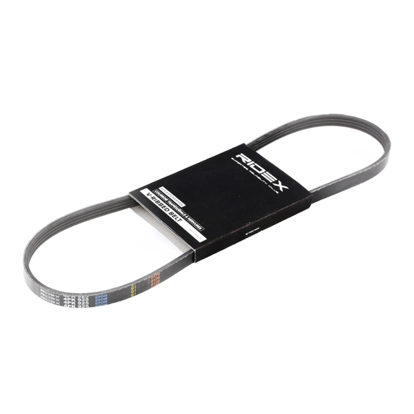 305P0019 Ridex