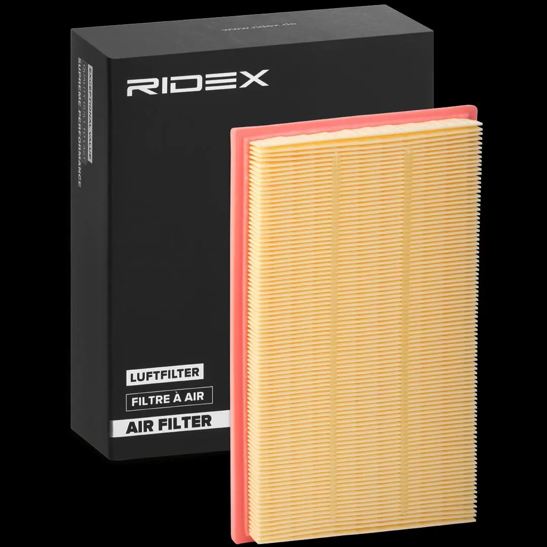 8A0489 Ridex