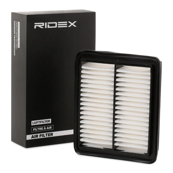 8A0317 Ridex