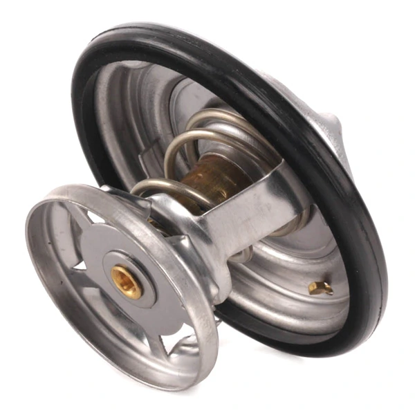 316T0043 Ridex