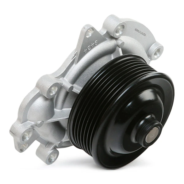 1260W0270 Ridex