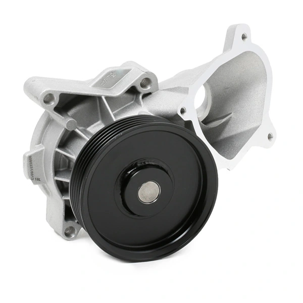 1260W0053 Ridex Bomba refrigerante coche