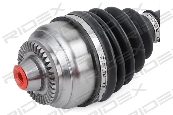 13D0329 Ridex