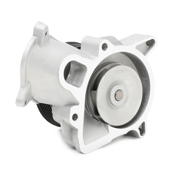 Bombeadora de agua Ridex 1260W0053 precio, desde 117,90 EUR