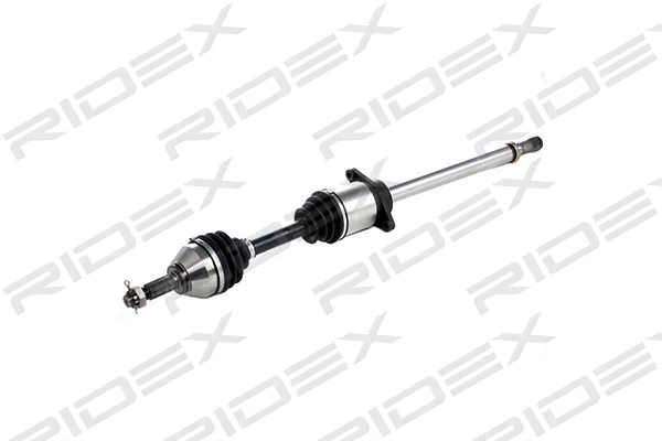 13D0132 Ridex