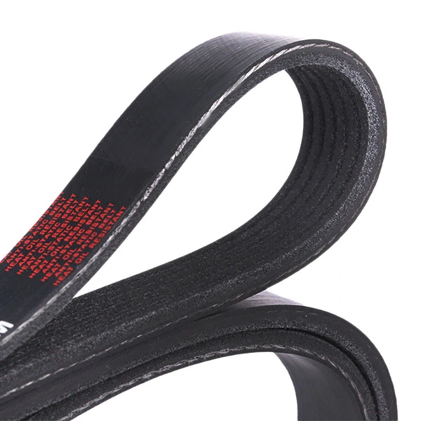Correa de transmisión trapezoidal Ridex 305B0285 precio, desde 27,53 EUR