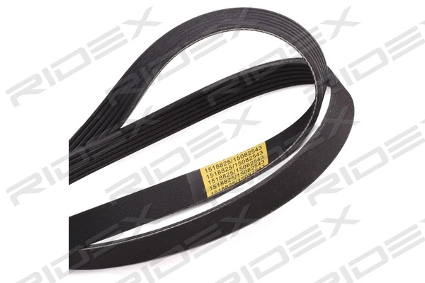 305P0406 Ridex