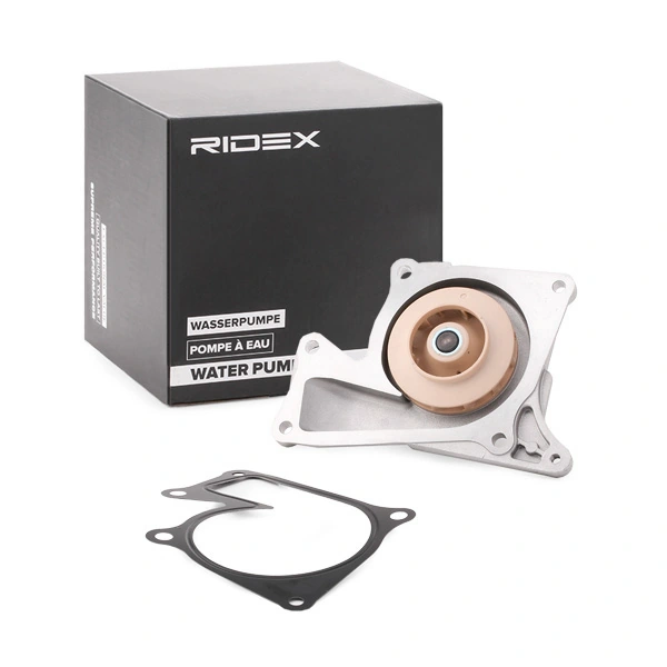 Bombeadora de agua Ridex 1260W0180 precio, desde 134,83 EUR