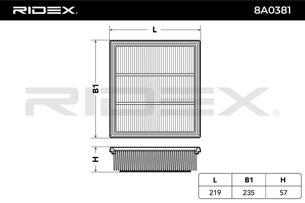 8A0381 Ridex