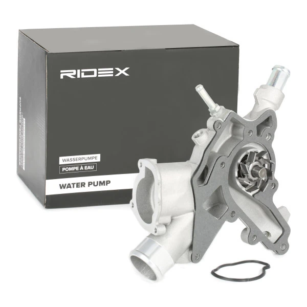 Bombeadora de agua Ridex 1260W0075 precio, desde 91,73 EUR