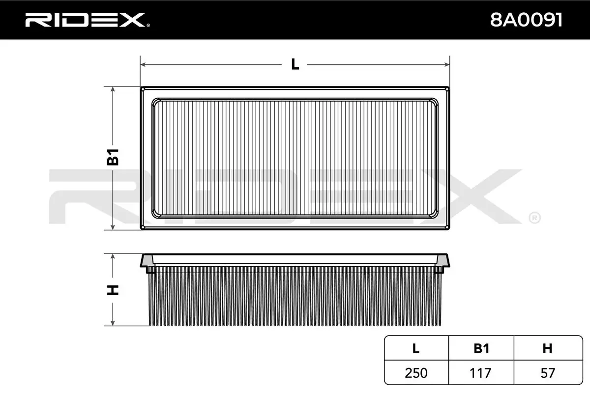 8A0091 Ridex