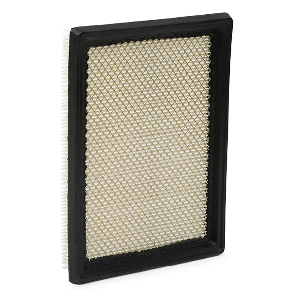 8A0074 Ridex Filtro de aire de motor