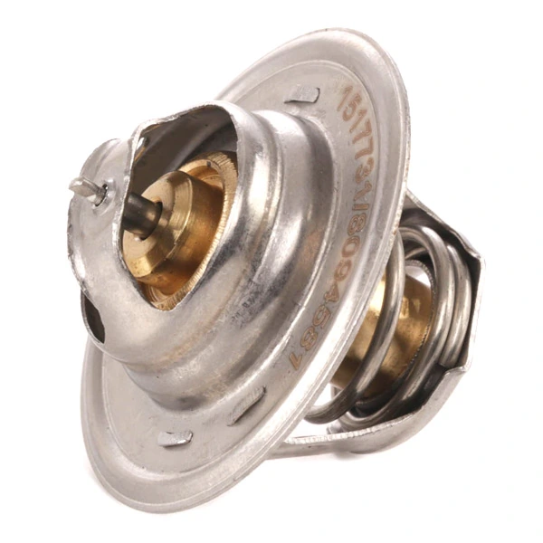 316T0003 Ridex