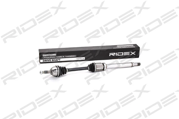 13D0113 Ridex